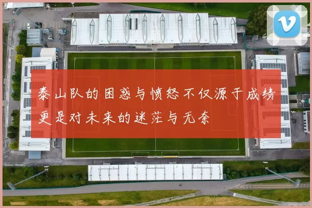 泰山队的困惑与愤怒不仅源于成绩更是对未来的迷茫与无奈
