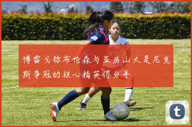 博雷戈称布伦森与亚历山大是尼克斯争冠的核心精英得分手